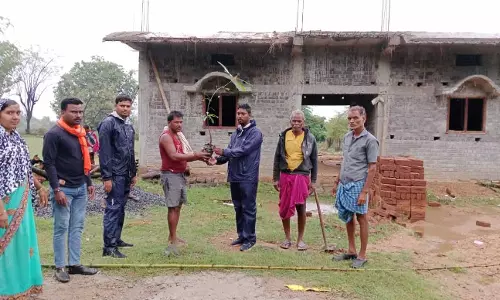 पीएम आवास की हितग्राही अपने आवास परिसर में कर रहे वृक्षारोपण