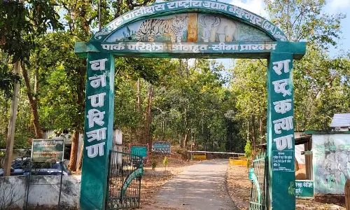 गुरु घासीदास राष्ट्रीय उद्यान में अवैध पेड़ कटाई का खुलासा, डिप्टी रेंजर पर गंभीर आरोप गुरु घासीदास राष्ट्रीय उद्यान में अवैध पेड़ कटाई का खुलासा, डिप्टी रेंजर पर गंभीर आरोप