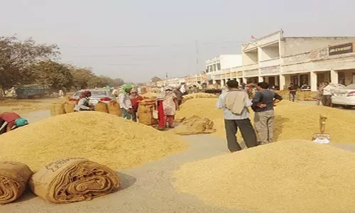 Odisha के कोरापुट जिले में किसानों से धान उठाने के लिए पर्याप्त ट्रक नहीं