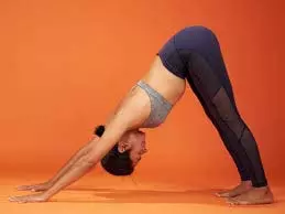 Adho Mukha Svanasana : फिटनेस फ्रीक लोगों का पसंदीदा योग, जानिए अधो मुख श्वानासन के 10 अद्भुत फायदे Adho Mukha Svanasana : फिटनेस फ्रीक लोगों का पसंदीदा योग, जानिए अधो मुख श्वानासन के 10 अद्भुत फायदे
