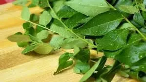 Health: रोज सुबह खाली पेट खाएं ये पत्ता, बदल जाएगी आपकी सेहत Health: रोज सुबह खाली पेट खाएं ये पत्ता, बदल जाएगी आपकी सेहत