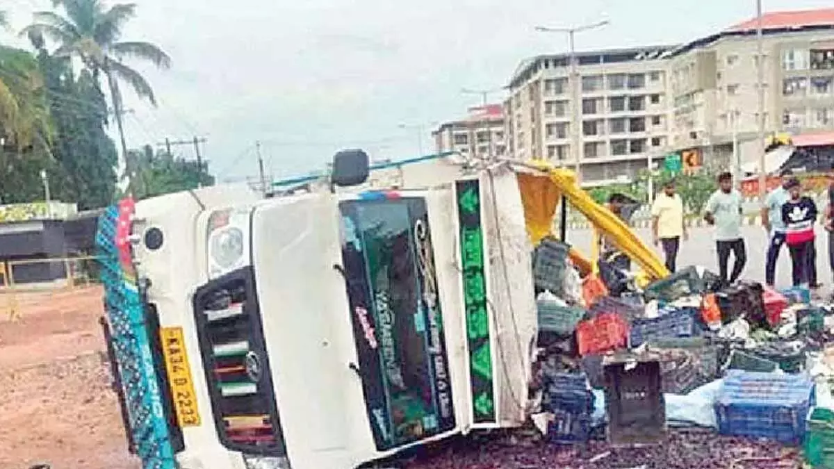पिकअप ट्रक दुर्घटना में 5 लाख रुपये के जामुन के फल गिरे पिकअप ट्रक दुर्घटना में 5 लाख रुपये के जामुन के फल गिरे