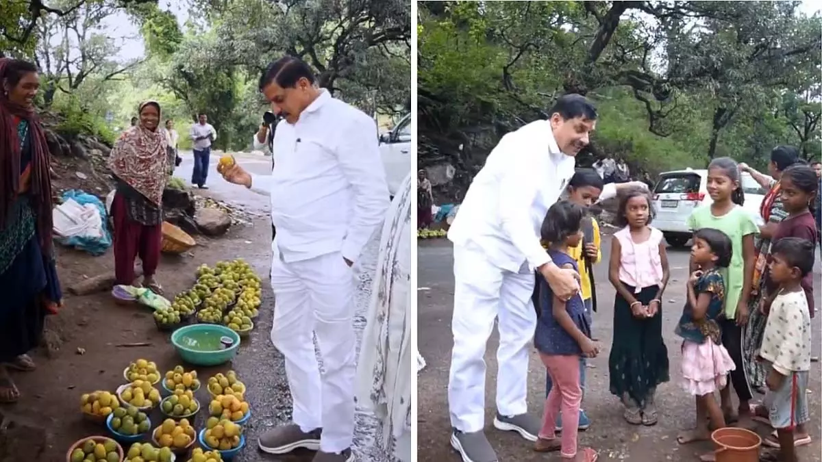 MP CM: पचमढ़ी में स्ट्रीट वेंडर्स से जंगल से आए ताजे आम खरीदे MP CM: पचमढ़ी में स्ट्रीट वेंडर्स से जंगल से आए ताजे आम खरीदे