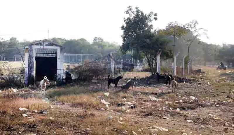 Jalandhar: मैदानों का नवीनीकरण, बुनियादी ढांचे का उन्नयन और युवा एथलीटों को शामिल करना Jalandhar: मैदानों का नवीनीकरण, बुनियादी ढांचे का उन्नयन और युवा एथलीटों को शामिल करना