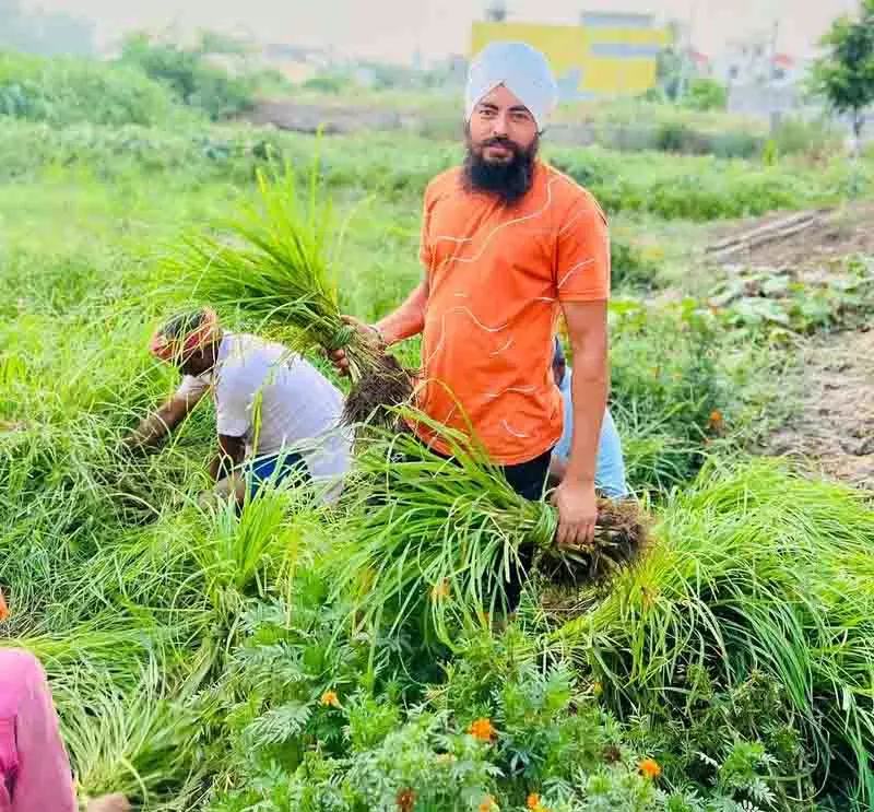 Punjab के किसान ने बाजरे की खेती को कृषि व्यवसाय में बदला Punjab के किसान ने बाजरे की खेती को कृषि व्यवसाय में बदला