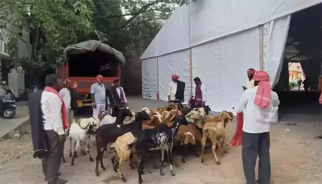 Hyderabad : गांधी भवन में भेड़-बकरियों के साथ अभिनव विरोध प्रदर्शन Hyderabad : गांधी भवन में भेड़-बकरियों के साथ अभिनव विरोध प्रदर्शन