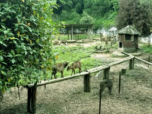 Sikkim : माई चाइल्ड फ्रॉम वाइल्ड’ पहल को सीएसआर समर्थन देने की प्रतिबद्धता जताई Sikkim : माई चाइल्ड फ्रॉम वाइल्ड’ पहल को सीएसआर समर्थन देने की प्रतिबद्धता जताई