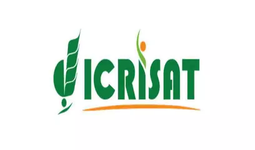 ICRISAT ने 23 देशों के 50 पेशेवरों को वैश्विक प्रौद्योगिकी हस्तांतरण पाठ्यक्रम में प्रशिक्षित किया ICRISAT ने 23 देशों के 50 पेशेवरों को वैश्विक प्रौद्योगिकी हस्तांतरण पाठ्यक्रम में प्रशिक्षित किया