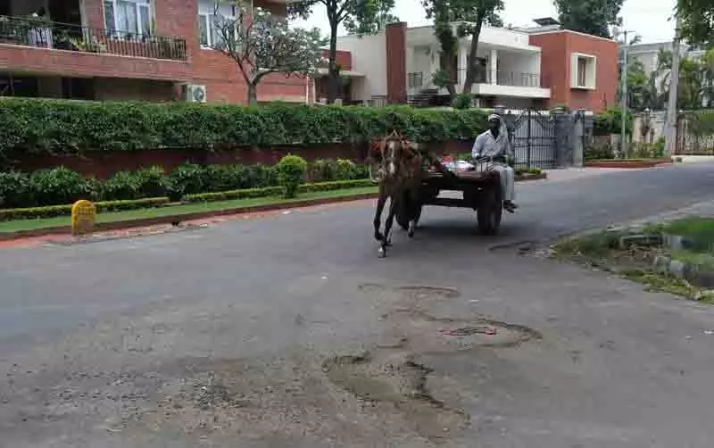MC के सर्वेक्षण में शहर की 60 सड़कों की हालत ‘बेहद खराब’ पाई गई MC के सर्वेक्षण में शहर की 60 सड़कों की हालत ‘बेहद खराब’ पाई गई