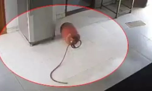गैस सिलेंडर ब्लास्ट कर पत्नी को उड़ाने की थी साजिश, खौफनाक तरीके से पति लेने वाला था विवाद का बदला