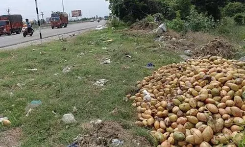 किसानों को मीठे नहीं लग रहे आम! क्या 10 हजार हेक्टेयर कम हो जाएगा खेती का रकबा? किसानों को मीठे नहीं लग रहे आम! क्या 10 हजार हेक्टेयर कम हो जाएगा खेती का रकबा?