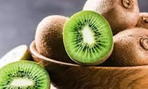 Kiwi: जानिए कीवी खाने के हैं कई फायदे Kiwi: जानिए कीवी खाने के हैं कई फायदे