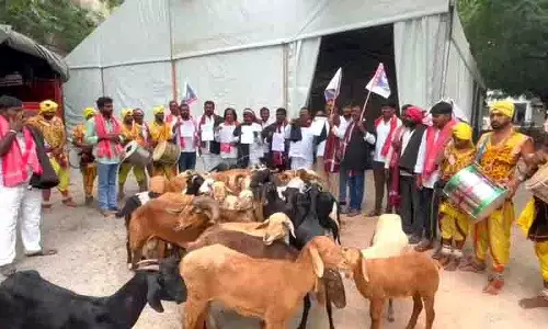 Hyderabad: चरवाहा समुदाय ने भेड़ों के साथ गांधी भवन पर किया प्रदर्शन