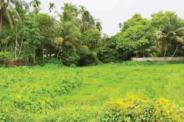 Kerala में भूमि अधिग्रहण नियमों में कोई ढील नहीं राजस्व विभाग अड़ा हुआ