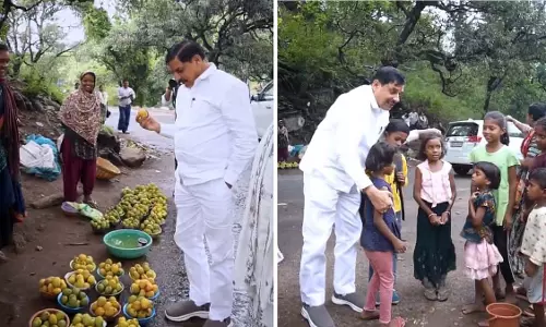 MP CM: पचमढ़ी में स्ट्रीट वेंडर्स से जंगल से आए ताजे आम खरीदे MP CM: पचमढ़ी में स्ट्रीट वेंडर्स से जंगल से आए ताजे आम खरीदे