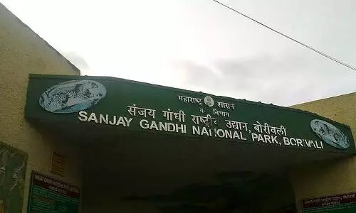 नेशनल ग्रीन ट्रिब्यूनल ने संजय गांधी पार्क के पास कास्टिंग यार्ड, कंक्रीट प्लांट को बंद करने का आदेश दिया