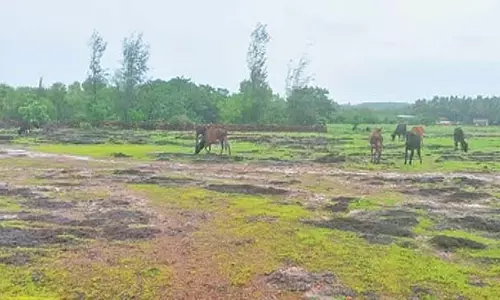 राज्य के पहले अप्सराकोंडा-मुगली सागर अभयारण्य में लैटेराइट ईंट खनन बंद होने की संभावना
