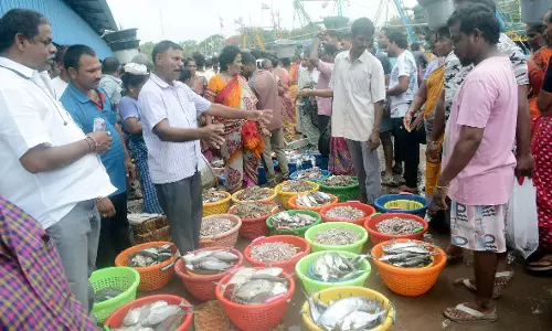 Vizag फिशिंग हार्बर में समुद्री मछली पकड़ने के लिए पागल भीड़ देखी गई Vizag फिशिंग हार्बर में समुद्री मछली पकड़ने के लिए पागल भीड़ देखी गई