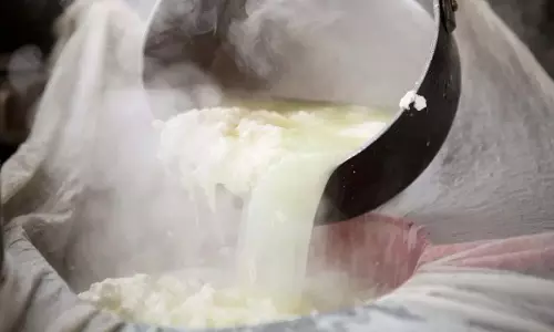 ये चार सामग्रियां घर पर तैयार की जा सकती हैं
