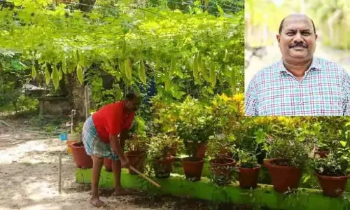 Kerala : जयन का शौक खाली समय में खेती करना है Kerala : जयन का शौक खाली समय में खेती करना है