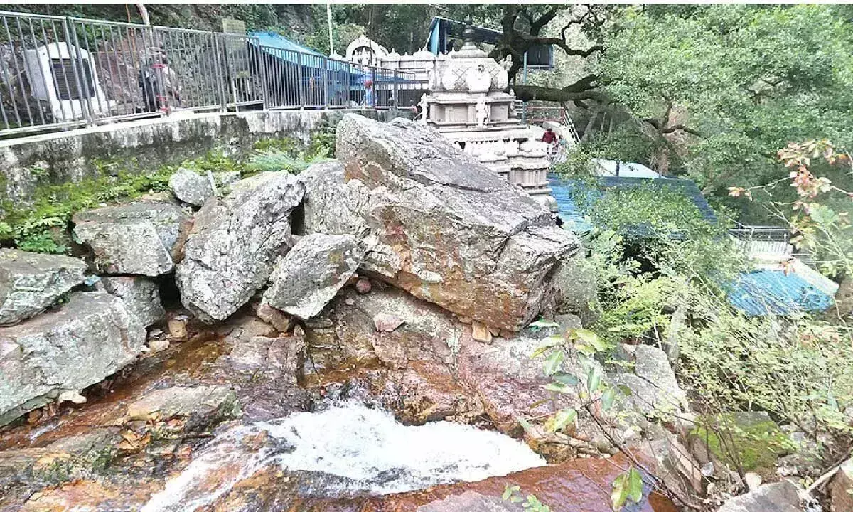 Andhra: TTD ने आकाशगंगा, पापविनासनम के परिवर्तन की योजना बनाई Andhra: TTD ने आकाशगंगा, पापविनासनम के परिवर्तन की योजना बनाई