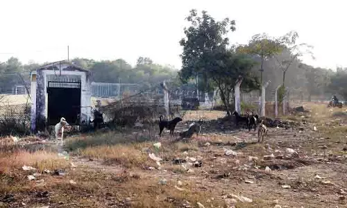 Jalandhar: मैदानों का नवीनीकरण, बुनियादी ढांचे का उन्नयन और युवा एथलीटों को शामिल करना