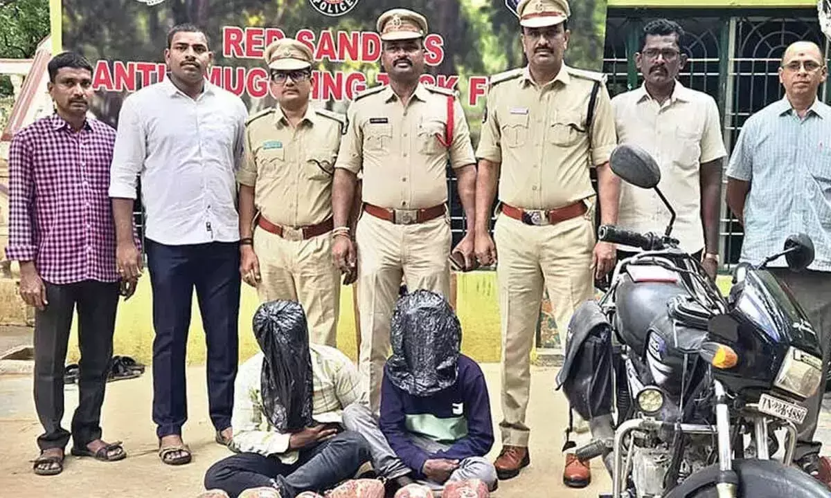 Andhra: 2 लाल चंदन तस्कर गिरफ्तार Andhra: 2 लाल चंदन तस्कर गिरफ्तार