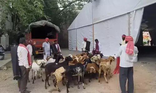 Hyderabad : गांधी भवन में भेड़-बकरियों के साथ अभिनव विरोध प्रदर्शन