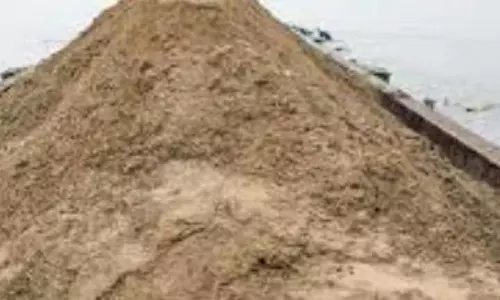 NGT ने मंडोवी नदी में रेत खनन की मंजूरी पर गोवा सरकार को नोटिस जारी किया NGT ने मंडोवी नदी में रेत खनन की मंजूरी पर गोवा सरकार को नोटिस जारी किया