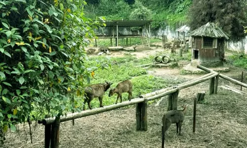 Sikkim : माई चाइल्ड फ्रॉम वाइल्ड’ पहल को सीएसआर समर्थन देने की प्रतिबद्धता जताई Sikkim : माई चाइल्ड फ्रॉम वाइल्ड’ पहल को सीएसआर समर्थन देने की प्रतिबद्धता जताई