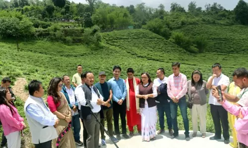 टेमी टी एस्टेट ने 50वां राज्य दिवस मनाया, दूसरी फ़्लश टेमी चाय लॉन्च की