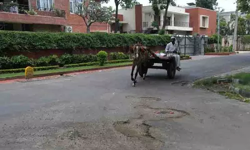 MC के सर्वेक्षण में शहर की 60 सड़कों की हालत ‘बेहद खराब’ पाई गई MC के सर्वेक्षण में शहर की 60 सड़कों की हालत ‘बेहद खराब’ पाई गई