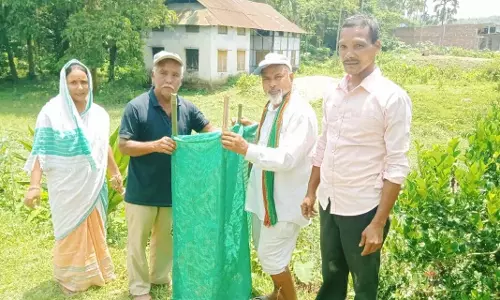 Assam: मोरीगांव में वृक्षारोपण अभियान चलाया गया