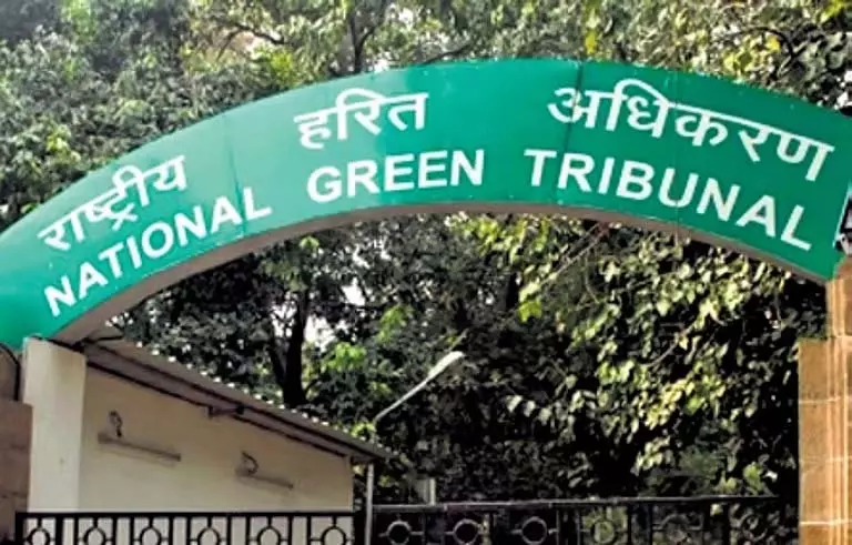 NGT ने प्लास्टिक अपशिष्ट उल्लंघनों पर संज्ञान लिया, रिपोर्ट मांगी NGT ने प्लास्टिक अपशिष्ट उल्लंघनों पर संज्ञान लिया, रिपोर्ट मांगी