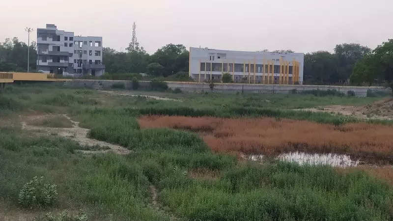 Panipat की हाली झील और पार्क सफेद हाथी साबित हो रहे Panipat की हाली झील और पार्क सफेद हाथी साबित हो रहे