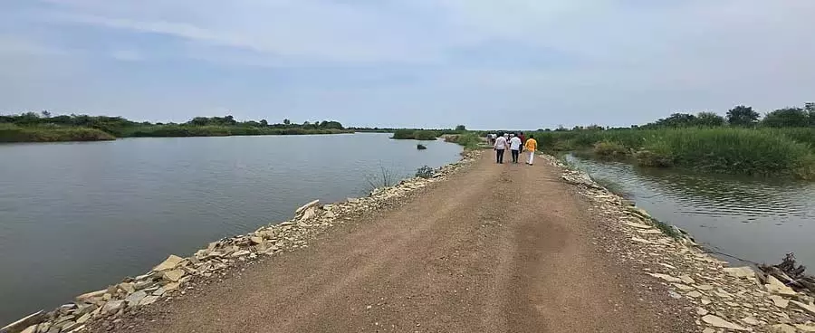 Kalaburagi : नदी पर 3 किलोमीटर कच्ची सड़क का निर्माण Kalaburagi : नदी पर 3 किलोमीटर कच्ची सड़क का निर्माण