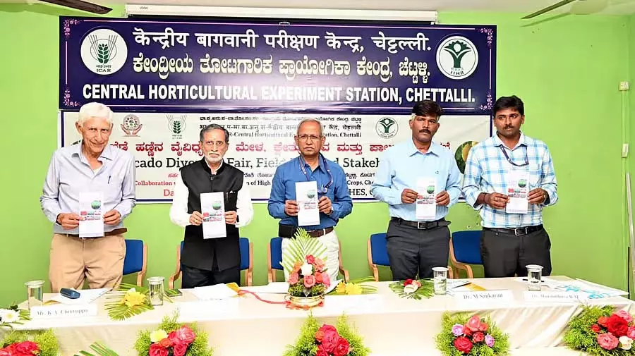 Madikeri : बटर फ्रूट की विविधता से किसान प्रभावित Madikeri : बटर फ्रूट की विविधता से किसान प्रभावित