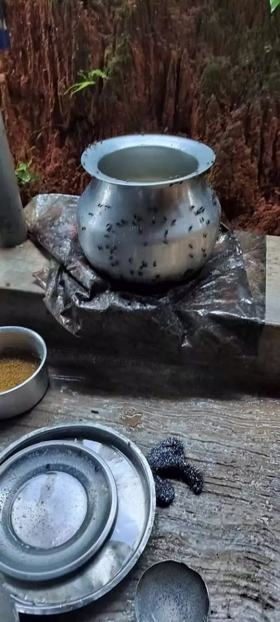 Puttur : महामारी के डर से लोग भयभीत Puttur : महामारी के डर से लोग भयभीत