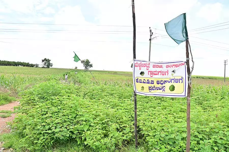 Davanagere : कोई उद्योग स्थापित न होने के बावजूद भूमि अधिग्रहण जारी Davanagere : कोई उद्योग स्थापित न होने के बावजूद भूमि अधिग्रहण जारी