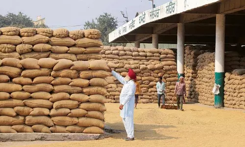 पश्चिम एशिया में अराजकता के कारण चावल निर्यातकों को भुगतान में देरी