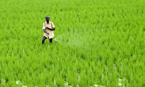 1995 में हुई गलती: गडग जिले के इन ग्रामीणों की जमीनें सरकार के नाम पर हैं
