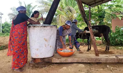 Karnataka : पारंपरिक तेल क्षेत्रों का पुनरुद्धार