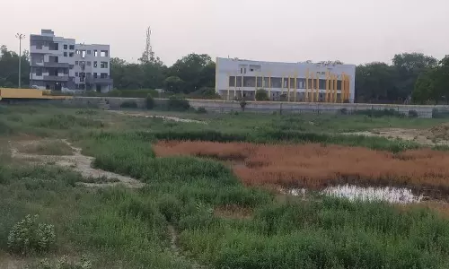 Panipat की हाली झील और पार्क सफेद हाथी साबित हो रहे