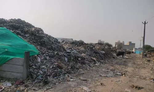 Haryana : मानेसर नगर निगम के ‘सफाई घोटाले’ की जांच शुरू Haryana : मानेसर नगर निगम के ‘सफाई घोटाले’ की जांच शुरू