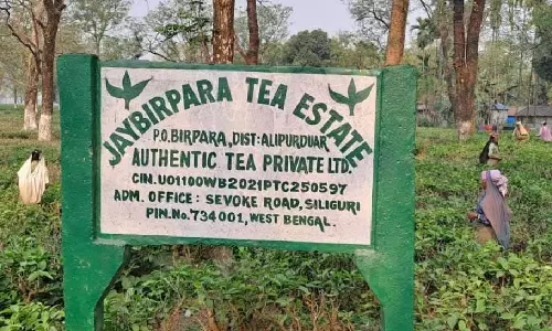 Bengal: अराजकता-अवैध गतिविधियों का आरोप लगाते हुए 450 श्रमिकों वाले बागान में काम बंद कर दिया