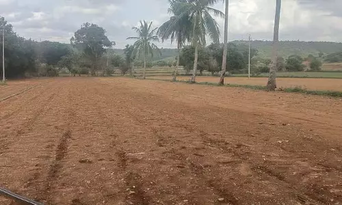 Karnataka : सूखा जो बोई गई फसल में कांटा है