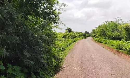 सड़क तक फैला हुआ वृक्ष जैसा अवरोध; यातायात में बाधा सड़क तक फैला हुआ वृक्ष जैसा अवरोध; यातायात में बाधा