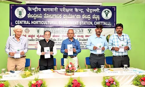 Madikeri : बटर फ्रूट की विविधता से किसान प्रभावित