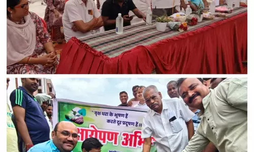 वृक्षारोपण अभियान में शामिल हुए रायपुर विकास प्राधिकरण अध्यक्ष साहू वृक्षारोपण अभियान में शामिल हुए रायपुर विकास प्राधिकरण अध्यक्ष साहू
