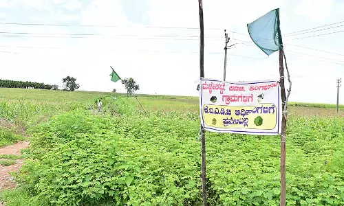 Davanagere : कोई उद्योग स्थापित न होने के बावजूद भूमि अधिग्रहण जारी